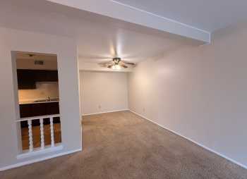 Interior Photo 13